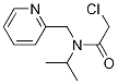 2-Chloro-N-isopropyl-N-pyridin-2-ylMethyl-acetaMide Struktur