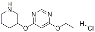 4-Ethoxy-6-(piperidin-3-yloxy)-pyriMidine hydrochloride Struktur