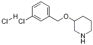 3-[(3-Chlorobenzyl)oxy]piperidine hydrochloride Struktur