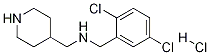 (2,5-Dichloro-benzyl)-piperidin-4-ylmethyl-amine hydrochloride Struktur