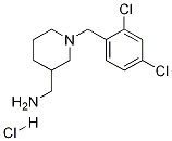 [1-(2,4-Dichloro-benzyl)-piperidin-3-yl]-methyl-amine hydrochloride Struktur