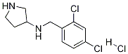 (2,4-Dichloro-benzyl)-pyrrolidin-3-yl-amine hydrochloride Struktur