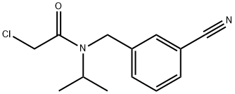 2-Chloro-N-(3-cyano-benzyl)-N-isopropyl-acetaMide Struktur