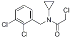 2-Chloro-N-cyclopropyl-N-(2,3-dichloro-benzyl)-acetaMide Struktur