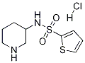 Thiophene-2-sulfonic acid piperidin-3-ylamide hydrochloride Struktur