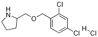 2-(2,4-Dichloro-benzyloxymethyl)-pyrrolidine hydrochloride Struktur