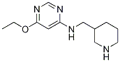 (6-Ethoxy-pyriMidin-4-yl)-piperidin-3-ylMethyl-aMine Struktur