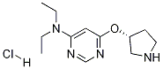 Diethyl-[6-((R)-pyrrolidin-3-yloxy)-pyriMidin-4-yl]-aMine hydrochloride Struktur