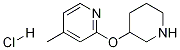 4-Methyl-2-(piperidin-3-yloxy)-pyridine hydrochloride Struktur