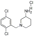 1-(2,5-Dichloro-benzyl)-piperidin-3-ylamine hydrochloride Struktur