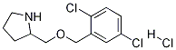 2-(2,5-Dichloro-benzyloxymethyl)-pyrrolidine hydrochloride Struktur