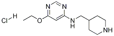 (6-Ethoxy-pyriMidin-4-yl)-piperidin-4-ylMethyl-aMine hydrochloride Struktur