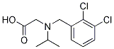 [(2,3-Dichloro-benzyl)-isopropyl-aMino]-acetic acid Struktur