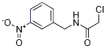 2-Chloro-N-(3-nitro-benzyl)-acetaMide Struktur