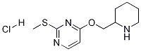 2-Methylsulfanyl-4-(piperidin-2-ylmethoxy)-pyrimidine hydrochloride Struktur