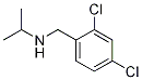 (2,4-Dichloro-benzyl)-isopropyl-aMine Struktur