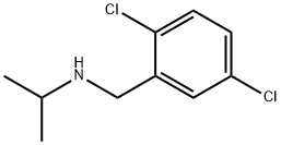 (2,5-Dichloro-benzyl)-isopropyl-aMine Struktur