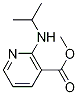 2-IsopropylaMino-nicotinic acid Methyl ester Struktur