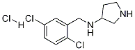 (2,5-Dichloro-benzyl)-pyrrolidin-3-yl-amine hydrochloride Struktur