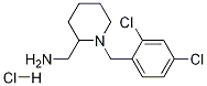 C-[1-(2,4-Dichloro-benzyl)-piperidin-2-yl]-methylamine hydrochloride Struktur