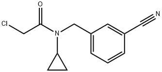 2-Chloro-N-(3-cyano-benzyl)-N-cyclopropyl-acetaMide Struktur