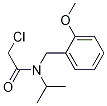 2-Chloro-N-isopropyl-N-(2-Methoxy-benzyl)-acetaMide Struktur