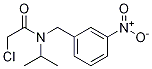 2-Chloro-N-isopropyl-N-(3-nitro-benzyl)-acetaMide Struktur