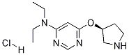 Diethyl-[6-((S)-pyrrolidin-3-yloxy)-pyriMidin-4-yl]-aMine hydrochloride Struktur