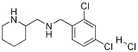 (2,4-Dichloro-benzyl)-piperidin-2-ylmethyl-amine hydrochloride Struktur