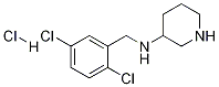 (2,5-Dichloro-benzyl)-piperidin-3-yl-amine hydrochloride Struktur