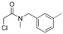 2-Chloro-N-Methyl-N-(3-Methyl-benzyl)-acetaMide Struktur