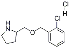 2-(2-Chloro-benzyloxymethyl)-pyrrolidine hydrochloride Struktur