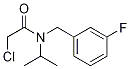 2-Chloro-N-(3-fluoro-benzyl)-N-isopropyl-acetaMide Struktur