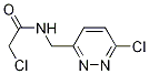 2-Chloro-N-(6-chloro-pyridazin-3-ylMethyl)-acetaMide Struktur