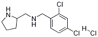 (2,4-Dichloro-benzyl)-pyrrolidin-2-ylmethyl-amine hydrochloride Struktur