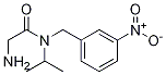 2-AMino-N-isopropyl-N-(3-nitro-benzyl)-acetaMide Struktur