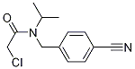 2-Chloro-N-(4-cyano-benzyl)-N-isopropyl-acetaMide Struktur