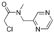 2-Chloro-N-Methyl-N-pyrazin-2-ylMethyl-acetaMide Struktur