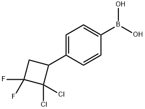 [4-(2,2-Dichloro-3,3-difluorocyclobutyl)phenyl]boronic acid Struktur