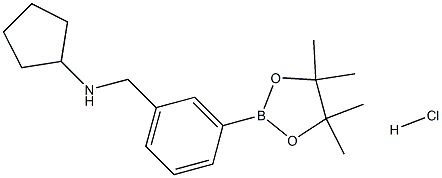 N-(3-(4,4,5,5-Tetramethyl-1,3,2-dioxaborolan-2-yl)benzyl)cyclopentanamine hydrochloride Struktur