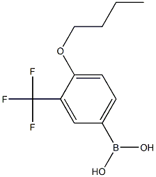 4-Butoxy-3-(trifluoromethyl)phenylboronic acid Struktur