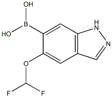 5-(difluoroMethoxy)-1H-indazol-6-yl-6-boronic acid Struktur