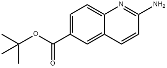 2-AMino-quinoline-6-carboxylic acid tert-butyl ester Struktur