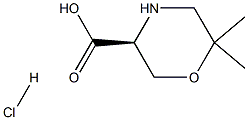 (S)-6,6-DIMETHYL-MORPHOLINE-3-CARBOXYLIC ACID HCL Struktur