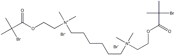 N1,N6-bis(2-(2-broMo-2-Methylpropanoyloxy)ethyl)-N1,N1,N6,N6-tetraMethyl hexane-1,6-diaMiniuM broMide Struktur