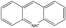 Acridinium Quench Solution Struktur