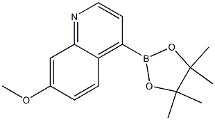 7-Methoxy-4-(4,4,5,5-tetraMethyl-1,3,2-dioxaborolan-2-yl)quinoline Struktur