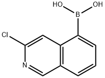 3-chloroisoquinolin-5-yl-5-boronic acid Struktur