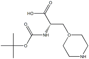 Boc-3-(1-Morpholinyl)-L-alanine Struktur