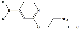 (2-(2-aMinoethoxy)pyridin-4-yl)boronic acid hydrochloride Struktur